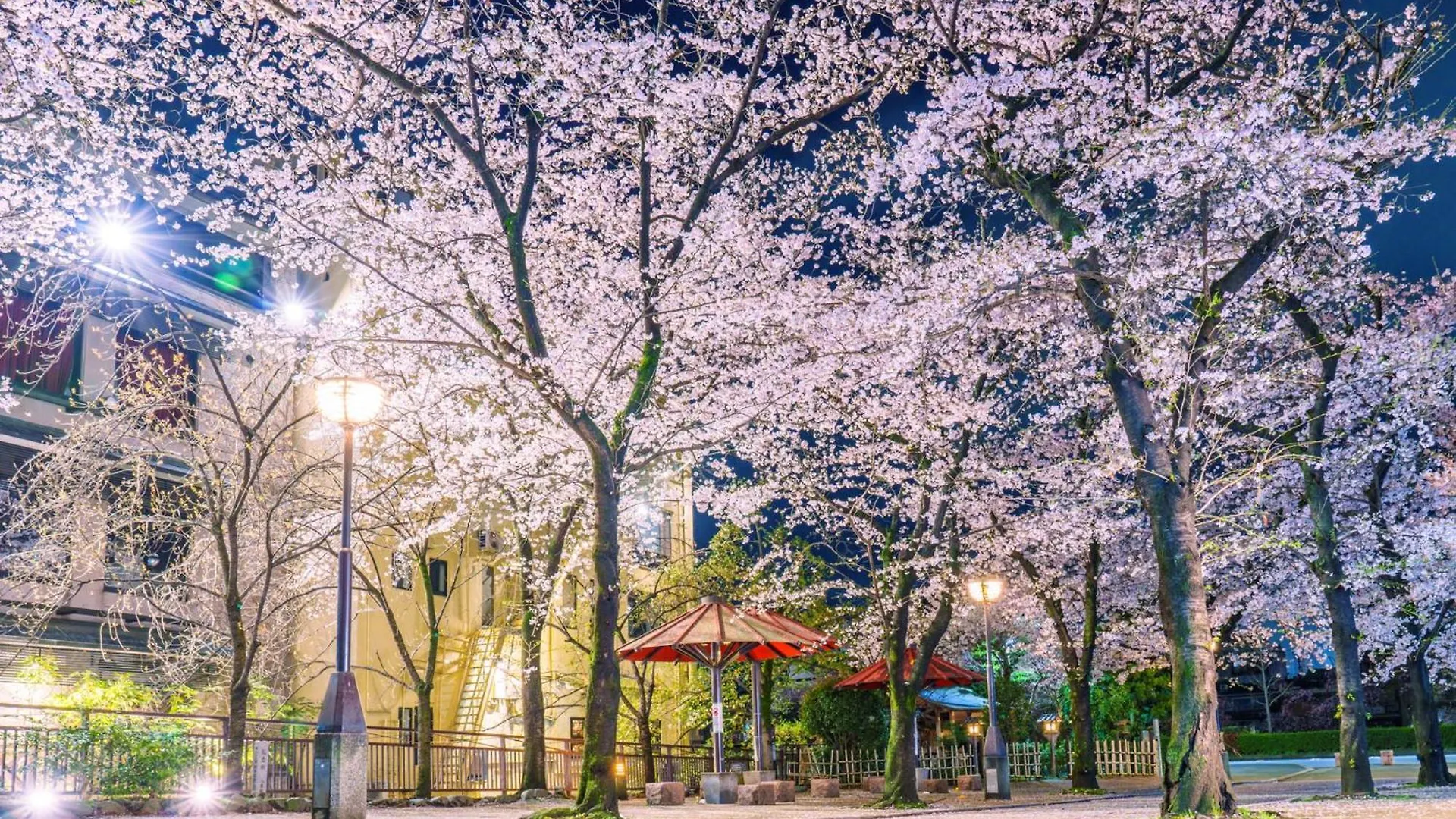 The Blossom Kyoto Japonya